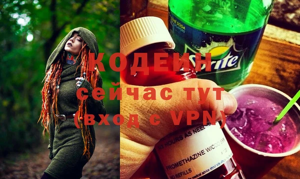шишки Медногорск