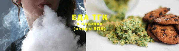 шишки Медногорск