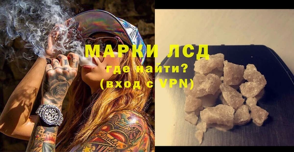 спиды Ельня
