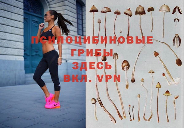 герыч Медвежьегорск