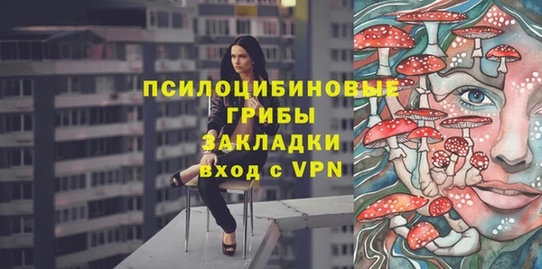 шишки Медногорск