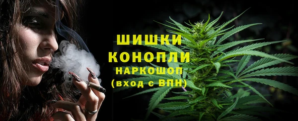 шишки Медногорск