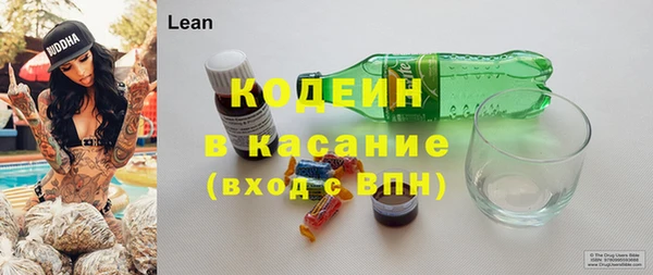 шишки Медногорск