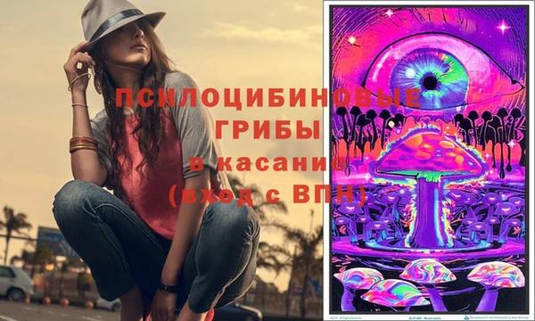шишки Медногорск