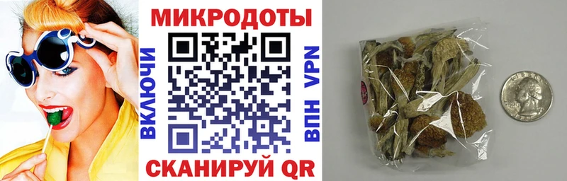 Псилоцибиновые грибы GOLDEN TEACHER  купить наркотики цена  Дрезна 